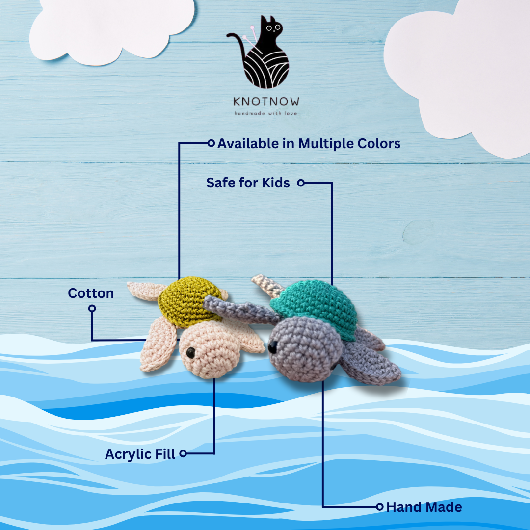 Pebble The Baby Turtle