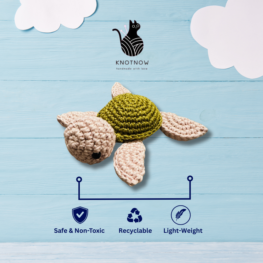 Pebble The Baby Turtle